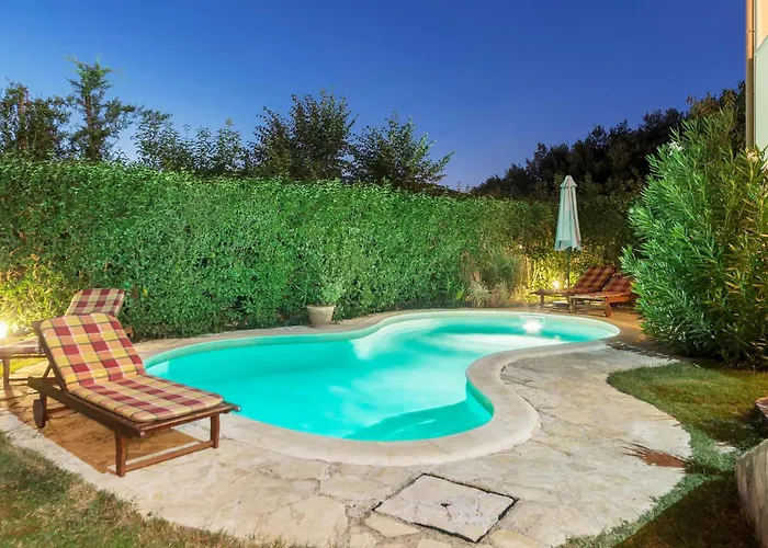 Cozy In With Wifi * Póla