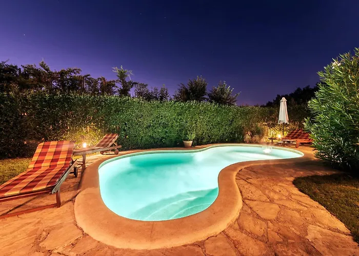 Cozy In With Wifi Póla